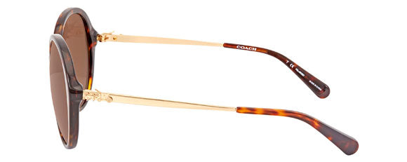 C135 COACH HC8214 5485T5 56 DARK TORTOISE / BROWN GRADIENT  display picture 2