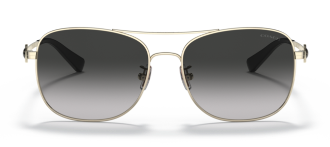 C100 COACH C6177 HC7127 90053C 56 GOLD GRAY GRADIENT