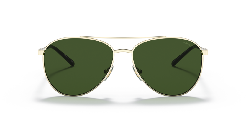 N35 ARNETTE SIDECAR AN3085 739/71 58 BRUSHED LIGHT GOLD / DARK GREEN