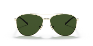 N35 ARNETTE SIDECAR AN3085 739/71 58 BRUSHED LIGHT GOLD / DARK GREEN