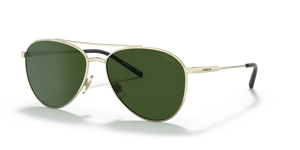 N35 ARNETTE SIDECAR AN3085 739/71 58 BRUSHED LIGHT GOLD / DARK GREEN