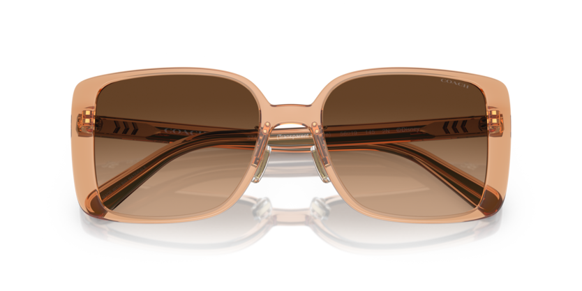 C165 COACH CH562 HC8375 574974 56 TRANSPARENT SADDLE / BROWN GRADIENT