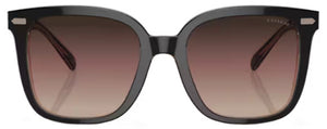 C178 COACH CL918 HC8381U 5781E2 54 BLACK TRANSPARENT BLUSH / BROWN PURPLE GRADIENT