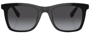 C166 COACH CK463 HC8374F 50028G 54 BLACK / GREY GRADIENT