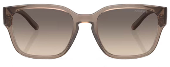 N99 ARNETTE HAMIE AN4325 290613 54 TRANSPARENT TOBACCO / GRADIENT BROWN
