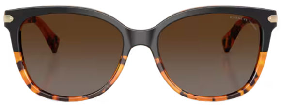 C190 COACH L109 HC8132 5438T5 57 BLACK TORTOISE GRADIENT / BROWN GRADIENT POLARIZED