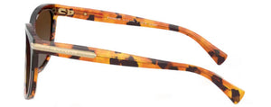 C190 COACH L109 HC8132 5438T5 57 BLACK TORTOISE GRADIENT / BROWN GRADIENT POLARIZED