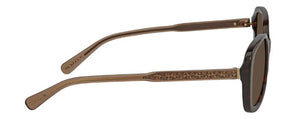 C111 COACH HC8278 512083 53 DARK TORTOISE / BROWN POLARIZED