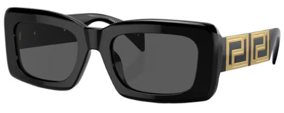 VE178 VERSACE VE4444U GB1/87 54 BLACK  DARK GRAY