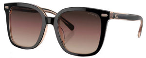 C178 COACH CL918 HC8381U 5781E2 54 BLACK TRANSPARENT BLUSH / BROWN PURPLE GRADIENT