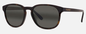 V334 VUARNET BELVEDERE 02 VU40011I5452D TORTOISE / GREY POLARLYNX