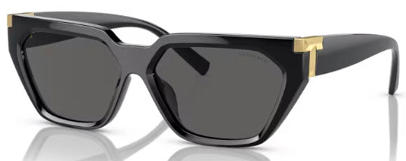 T183 TIFFANY TF4205U 8001S4 56 BLACK / DARK GREY