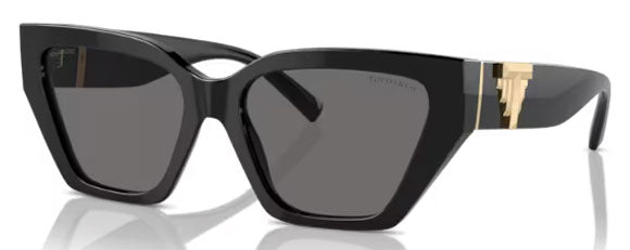 T170 TIFFANY TF4218 800181 55 BLACK  / DARK GRAY POLARIZED