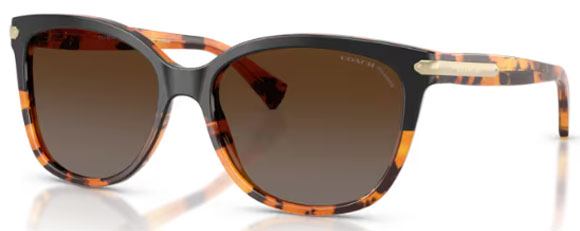 C190 COACH L109 HC8132 5438T5 57 BLACK TORTOISE GRADIENT / BROWN GRADIENT POLARIZED