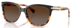 C190 COACH L109 HC8132 5438T5 57 BLACK TORTOISE GRADIENT / BROWN GRADIENT POLARIZED