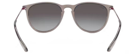 RB406 RAY-BAN ERIKA RB4171 65138G 54 TRANSPARENT GREY / LIGHT GREY GRADIENT DARK GREY