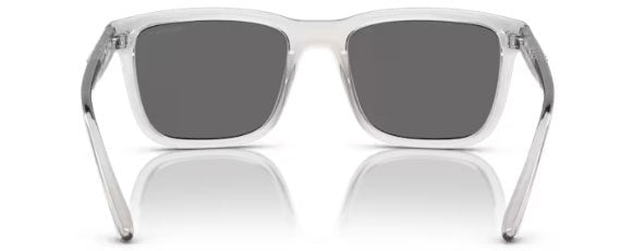 N84 ARNETTE LEBOWL AN4321 2858Z3 54 TRANSPARENT GREY / GREY POLARIZED