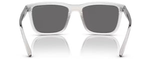 N84 ARNETTE LEBOWL AN4321 2858Z3 54 TRANSPARENT GREY / GREY POLARIZED