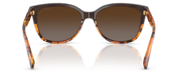C190 COACH L109 HC8132 5438T5 57 BLACK TORTOISE GRADIENT / BROWN GRADIENT POLARIZED