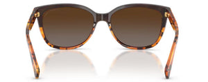 C190 COACH L109 HC8132 5438T5 57 BLACK TORTOISE GRADIENT / BROWN GRADIENT POLARIZED