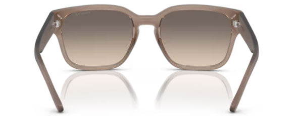 N99 ARNETTE HAMIE AN4325 290613 54 TRANSPARENT TOBACCO / GRADIENT BROWN