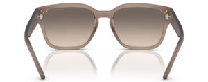 N99 ARNETTE HAMIE AN4325 290613 54 TRANSPARENT TOBACCO / GRADIENT BROWN