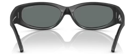 N82 ARNETTE CAT FISH AN4302 275881 65 MATTE BLACK / DARK GREY POLARIZED