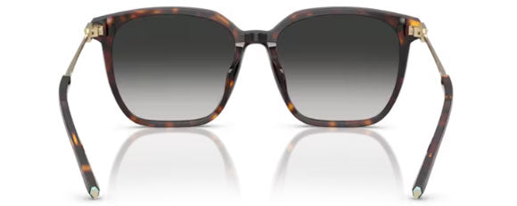 T190 TIFFANY TF4244D 80153C 56 HAVANA / GREY GRADIENT