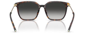 T190 TIFFANY TF4244D 80153C 56 HAVANA / GREY GRADIENT