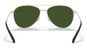 N35 ARNETTE SIDECAR AN3085 739/71 58 BRUSHED LIGHT GOLD / DARK GREEN