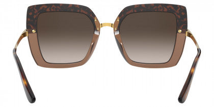 DG32 DOLCE & GABBANA DG4373 325613 52 HAVANA ON TRANSPARENT BROWN  BROWN GRADIENT DARK BROWN