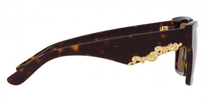 DG20 DOLCE & GABBANA DG4436 502/73 55 HAVANA  DARK BROWN