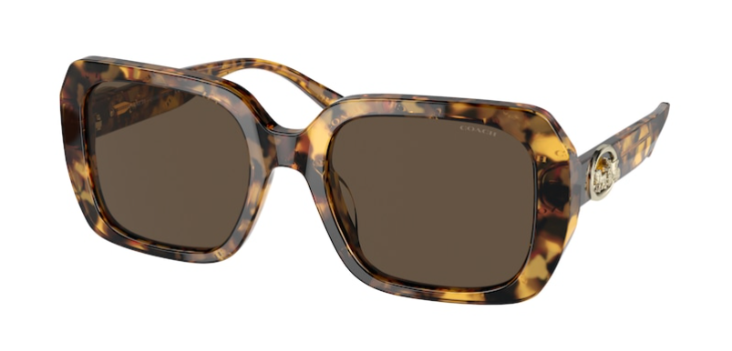 C101 COACH HC8329U 565973 53 DARK TORTOISE / DARK BROWN SOLID