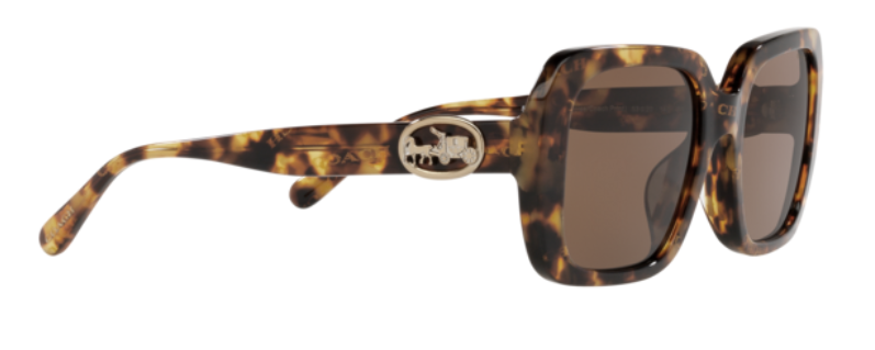 C101 COACH HC8329U 565973 53 DARK TORTOISE / DARK BROWN SOLID