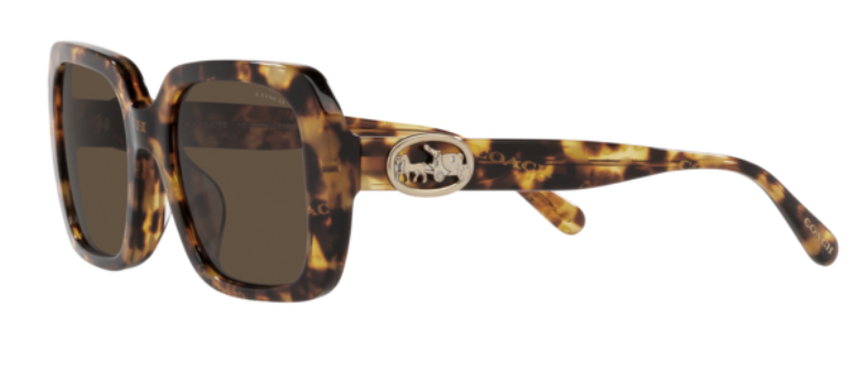 C101 COACH HC8329U 565973 53 DARK TORTOISE / DARK BROWN SOLID