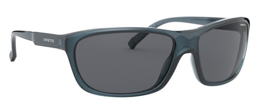 N16 ARNETTE EL CARMEN AN4263 265887 63 BLUE / GRAY