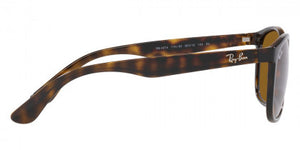 F253 RAY-BAN RB4374 710/33 56 HAVANA / BROWN