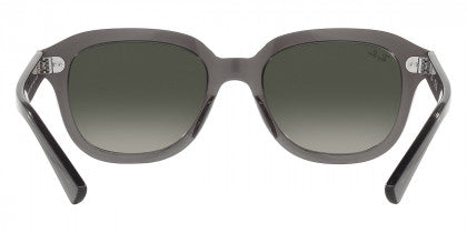 RB269 RAY-BAN ERIK RB4398F 667571 53 OPAL DARK GRAY  GRAY