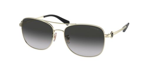 C100 COACH  C6177 HC7127 90053C 56 GOLD / GRAY GRADIENT