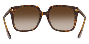 VG051 VOGUE VO5411SF W65613 54 DARK HAVANA  BROWN GRADIENT